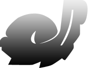 Symbol 12