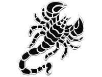 Symbol 43