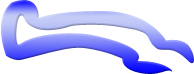 Symbol 22