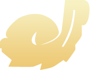 Symbol 12