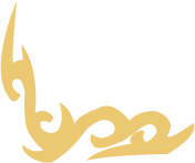 Symbol 14