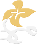 Symbol 17