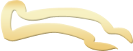 Symbol 22