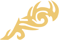 Symbol 29