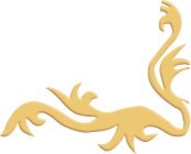 Symbol 35