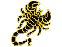 Symbol 43