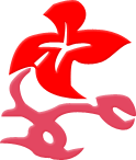 Symbol 30
