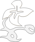 Symbol 17