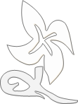 Symbol 18