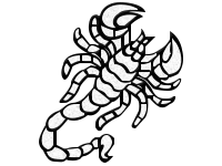 Symbol 43