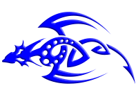 Tribal 29