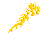 Tribal 11