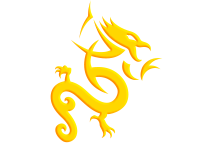 Tribal 20