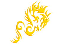 Tribal 23