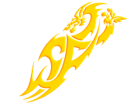 Tribal 24