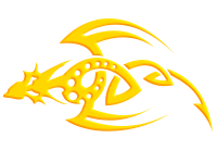 Tribal 29