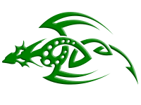 Tribal 29