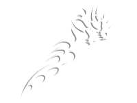 Tribal 11
