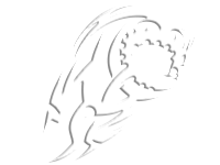 Tribal 13