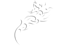 Tribal 14