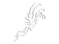 Tribal 16