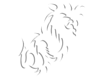 Tribal 18