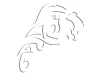 Tribal 2