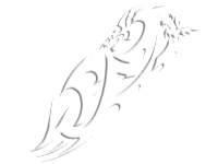 Tribal 24