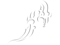 Tribal 27