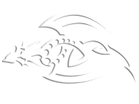 Tribal 29
