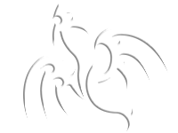 Tribal 30