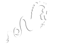 Tribal 8